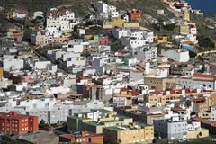 SEO BirdLife advierte sobre el riesgo del Rally Islas Canarias para el pinzón azul en peligro