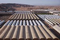 El proyecto NutriLoop valida el uso de agua regenerada en la agricultura