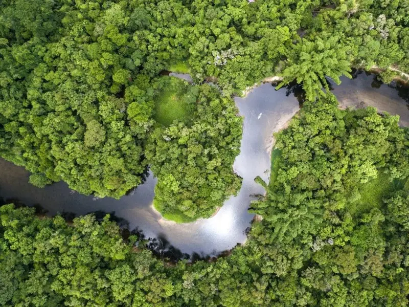 El Amazonas y sus ríos voladores: un recurso vital amenazado por la deforestación