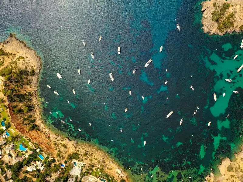 SOS Costa Brava advierte sobre la degradación de la posidonia en el litoral gerundense