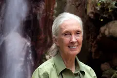 SEO/BirdLife instala más de 20 cámaras para monitorizar aves en España