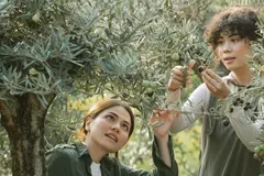 La producción ecológica se consolida entre jóvenes agricultores en España