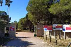 El centro de fauna de El Saler atendió más de 9.300 animales en 2025 por la ola de calor