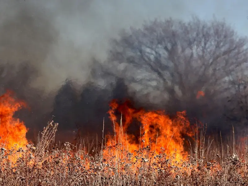 Incendios forestales activos en Cantabria: situación crítica y medidas de extinción