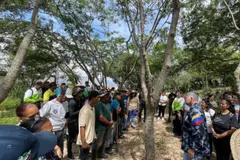 Venezuela planea plantar 11 millones de árboles para recuperar ecosistemas hasta 2026