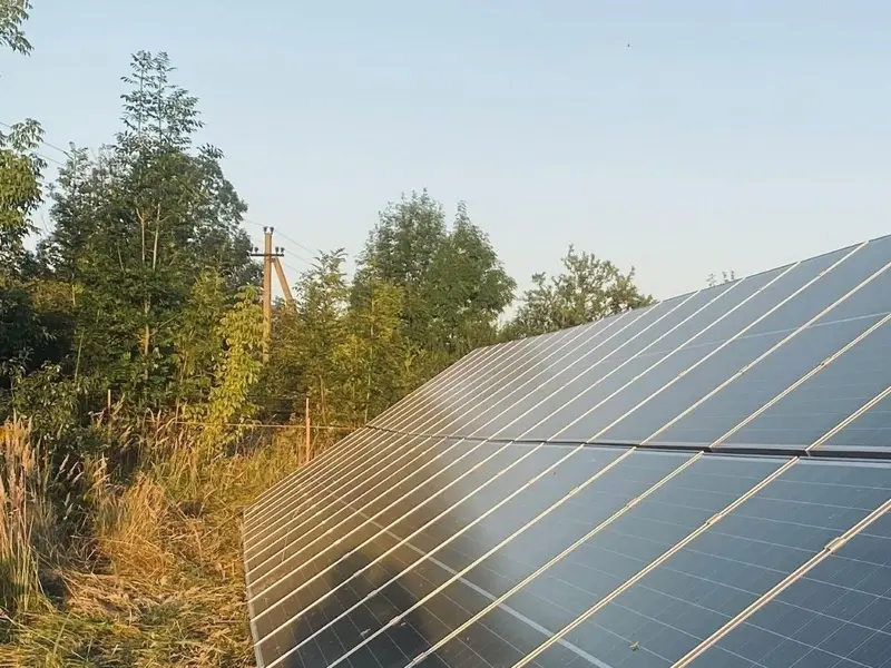 Preocupación por la construcción de plantas solares cerca de nidos de águila en Guadalajara