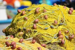 Pesca ilegal en Marruecos pone en riesgo la biodiversidad del mar de Alborán