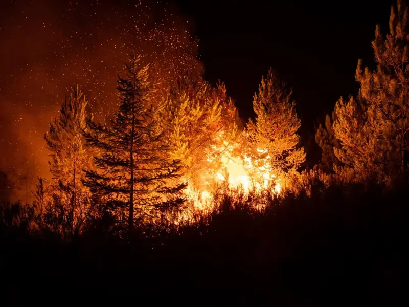 CSIF alerta sobre falta de medios para prevenir incendios forestales en España