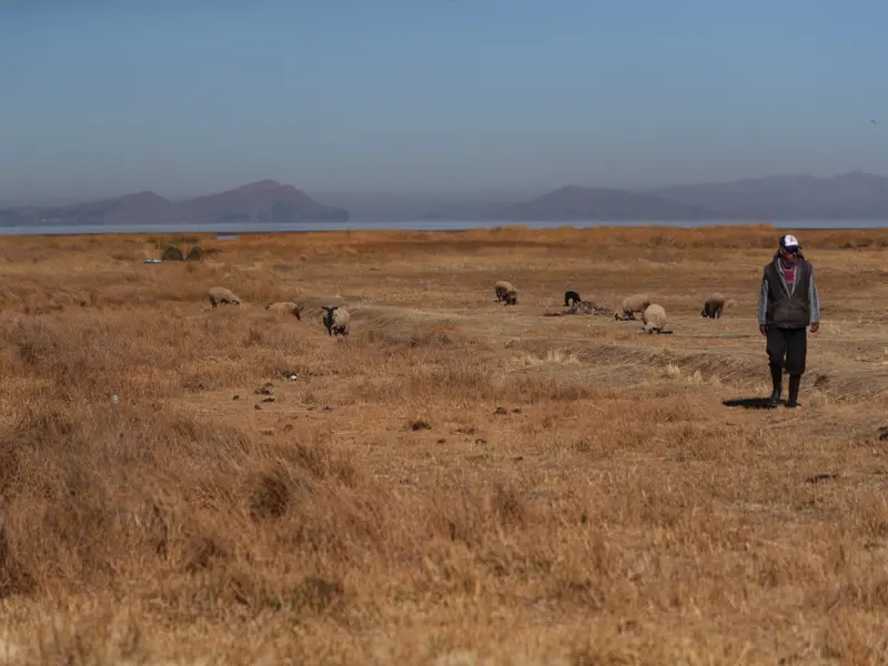 La ONU advierte que la sequía y el cambio climático erosionan los pastizales vitales