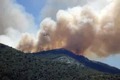 Ecologistas denuncian falta de transparencia en gestión de zonas quemadas en Castilla y León
