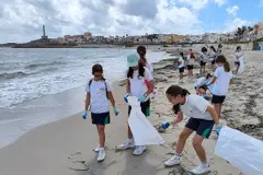 Alumnos de Murcia y Vega Baja realizan acciones por la sostenibilidad del mar