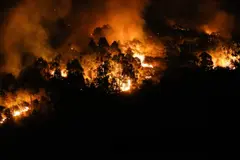 Recomendaciones para actuar en caso de un incendio forestal cercano