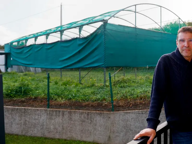 Vecinos de Santa Cruz piden la retirada de una jaula de vuelo de gaviotas en Oleiros