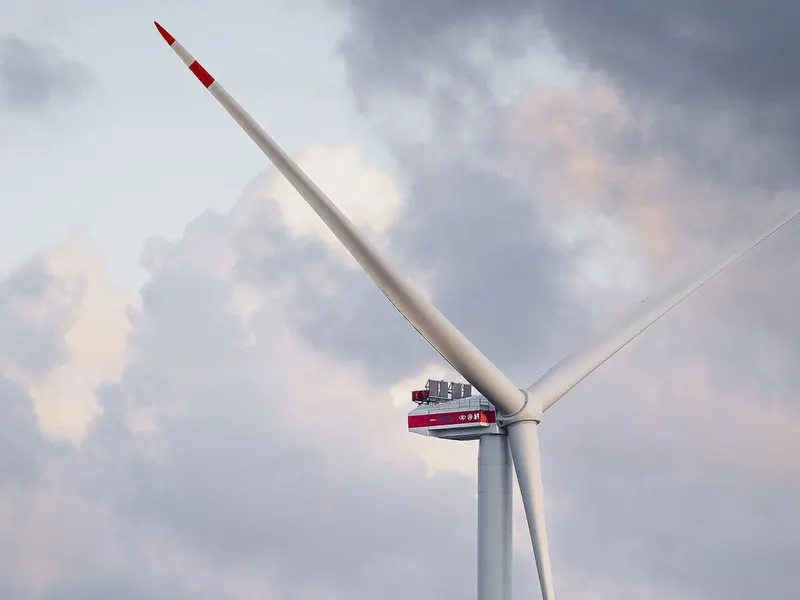 Investigación en Países Bajos prueba palas rojas en aerogeneradores para proteger aves