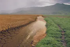 La ONU alerta sobre la necesidad de acelerar la acción climática ante fenómenos extremos