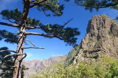Canarias impulsa urgentemente la ley de biodiversidad y recursos naturales