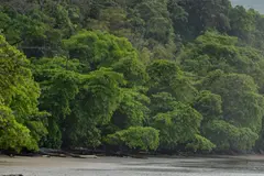 Costa Rica enfrenta serios retos ambientales por minería ilegal y deforestación en 2026