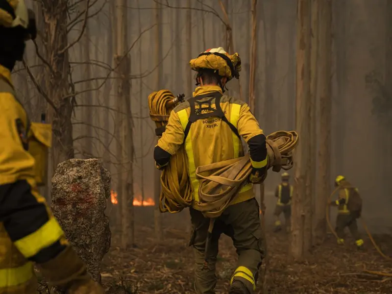 Más de 113 incendios forestales azotan el norte de España en primavera