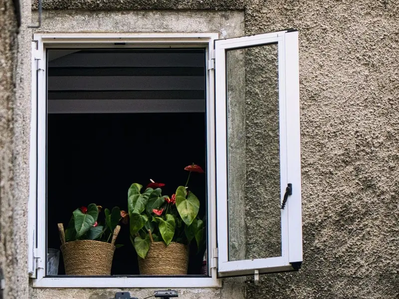 España y Francia lideran el auge de la jardinería urbana en Europa