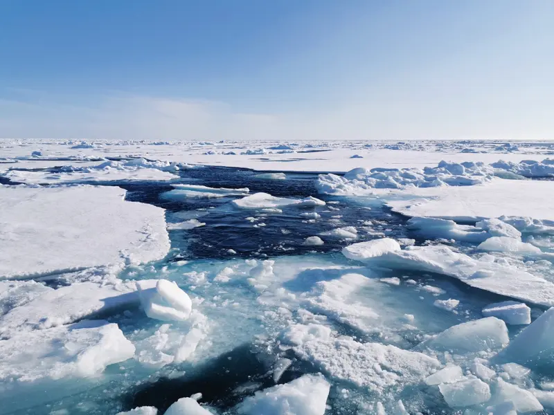 Océanos protegidos, pero amenazados por minería y cambio climático