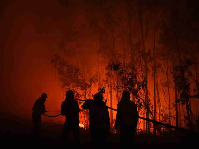 España se prepara para un verano de alto riesgo por incendios forestales