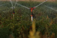 Alarmante baja reutilización del agua depurada en Ibiza en 2025
