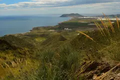La importancia de las reservas marinas de Murcia para la conservación del Mediterráneo