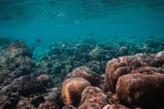 España prioriza la investigación marina para enfrentar el cambio climático