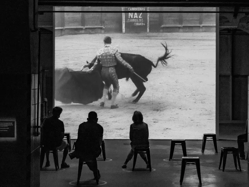 Día Mundial Antitaurino 2026: un debate creciente sobre la tauromaquia y el bienestar animal