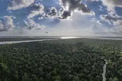 La deforestación en los bosques tropicales de Brasil alcanza mínimos históricos