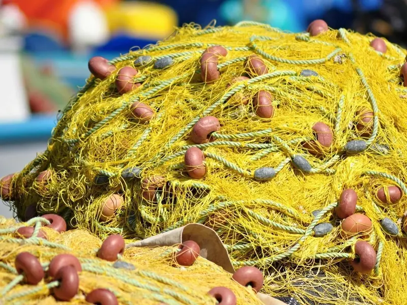 Pesca ilegal en Marruecos pone en riesgo la biodiversidad del mar de Alborán
