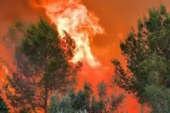 Incendios forestales en España: situaciones críticas en Castellón, Huesca, Girona y Catalunya