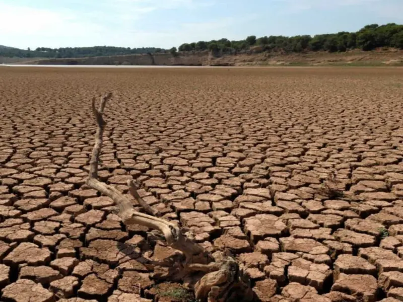 España refuerza su acción climática hacia la neutralidad en 2050 tras 25 años de la Oficina del Cambio Climático