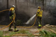 Incendios en Galicia arrasan más de 40 hectáreas en A Coruña y Ourense