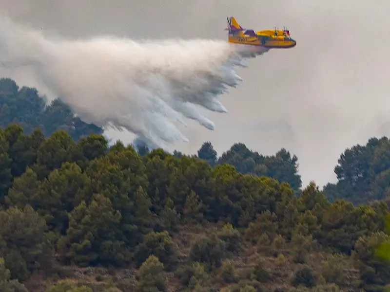 Incendios forestales en España: la lucha contra el fuego se intensifica
