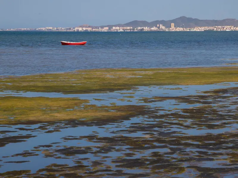 Ecologistas critican el nuevo programa del Gobierno murciano contra la contaminación por nitratos