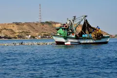 Día Internacional contra la Pesca Ilegal 2026: una alerta sobre los océanos