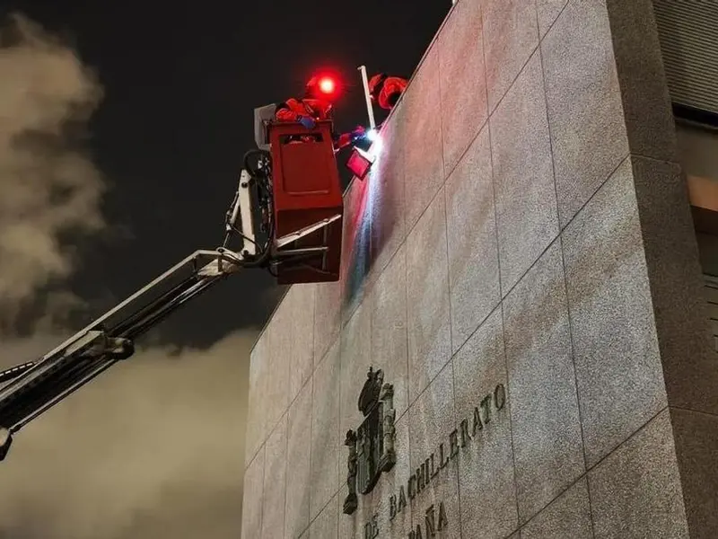 Retiran nido de avispa asiática en Canarias para frenar amenaza invasora