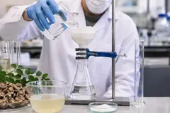 Investigación revela que la moringa elimina microplásticos del agua sin químicos agresivos