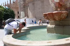 La ola de calor en Europa es consecuencia directa del cambio climático