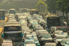 La contaminación incrementa la grasa corporal y reduce la masa muscular