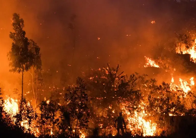 La UE destina 120,5 millones a España para recuperación tras incendios forestales de 2025