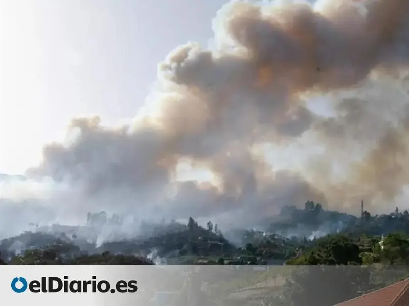 La Feria PICAs en Puntagorda promueve la prevención de incendios forestales en Canarias