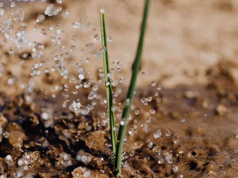 Aguas regeneradas transforman la agricultura en España hacia la sostenibilidad