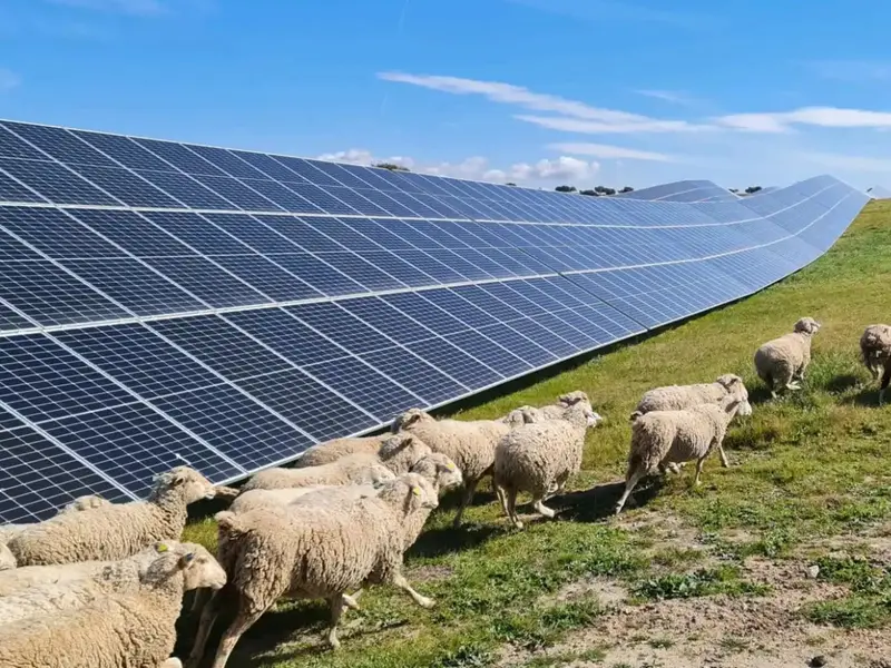 Ekiola Aiara: nueva planta fotovoltaica impulsará el autoconsumo solar en Álava