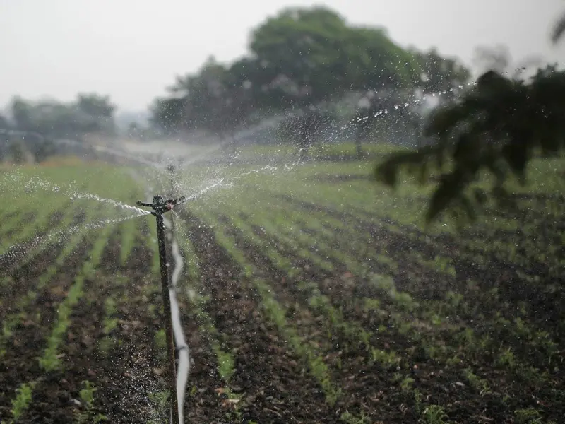 La importancia del agua regenerada para combatir la sequía en España