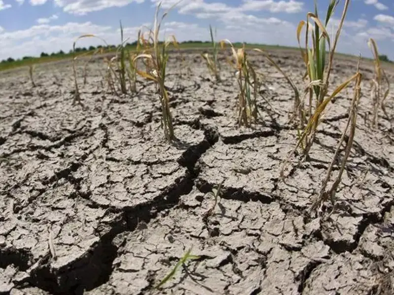 La degradación de tierras y la sequía como riesgo global que impacta la economía y la seguridad