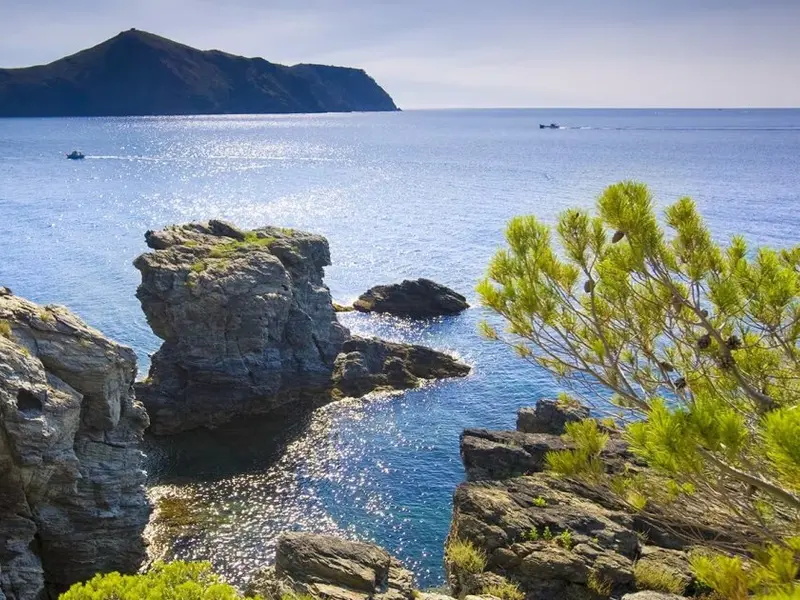 Nueve parques naturales de Cataluña sin plan antiincendios ante riesgo extremo de verano