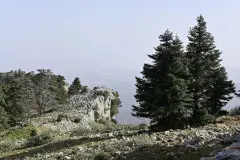 La Diputación de Málaga impulsa la biomasa para climatizar edificios y prevenir incendios