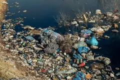 España incumple directiva europea contra delitos ecológicos a tiempo